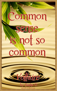 Common Sense Voltaire Quote