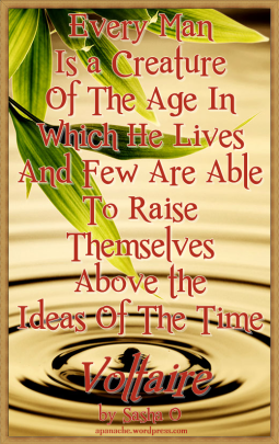 Creature of the Age a Voltaire Quote