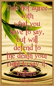 Defend your Rights Voltaire Quote